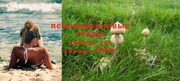ECSTASY Приозерск