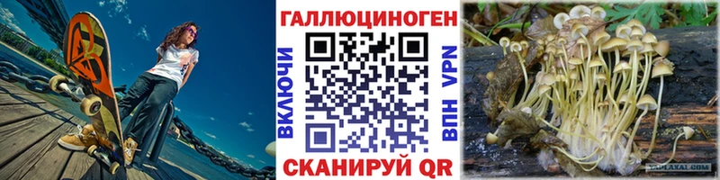 Псилоцибиновые грибы GOLDEN TEACHER  Купить закладки  Жуков 